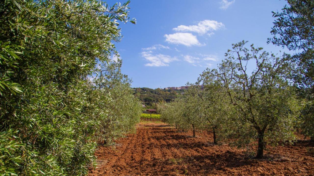 Country Hotel Residence Da Pilade كابوليفيري المظهر الخارجي الصورة